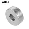 304/316 Stainless Steel Hex Socket Male Thread Oil/Water Pipe Plug