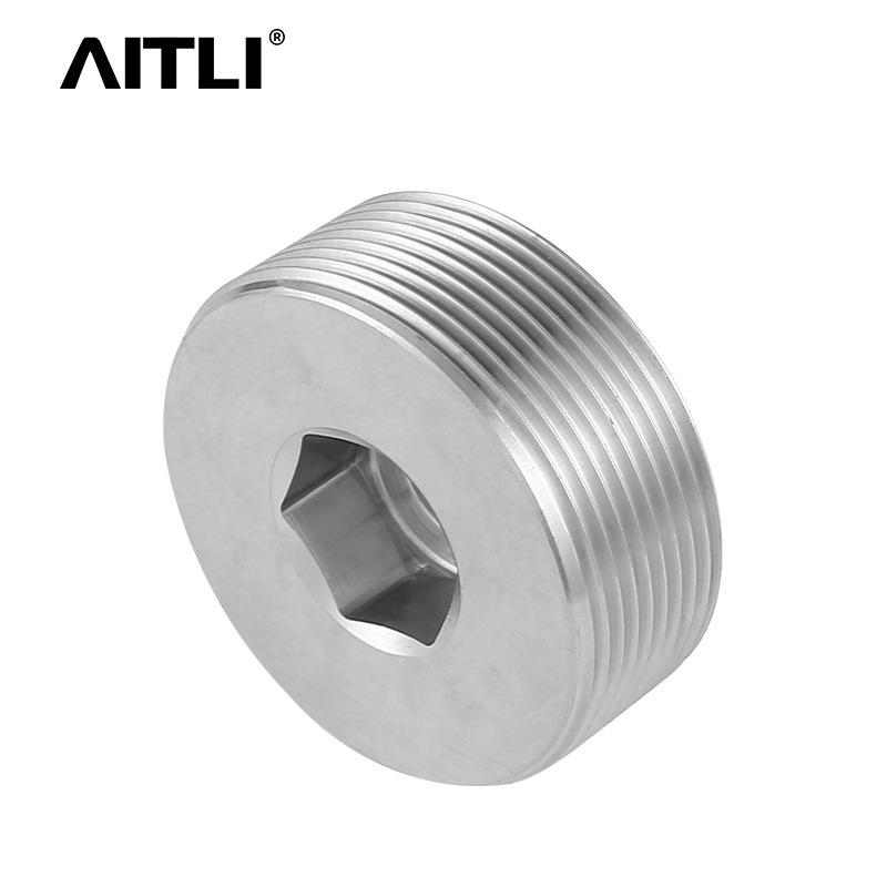 304/316 Stainless Steel Hex Socket Male Thread Oil/Water Pipe Plug