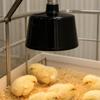 Animal-Heating Lamp with Vented Housing Easy to Install Enclosure Heat