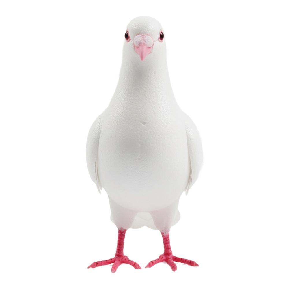 Légère Variation de Lot Pigeon Réaliste Pigeon en Mousse Apparence Réaliste