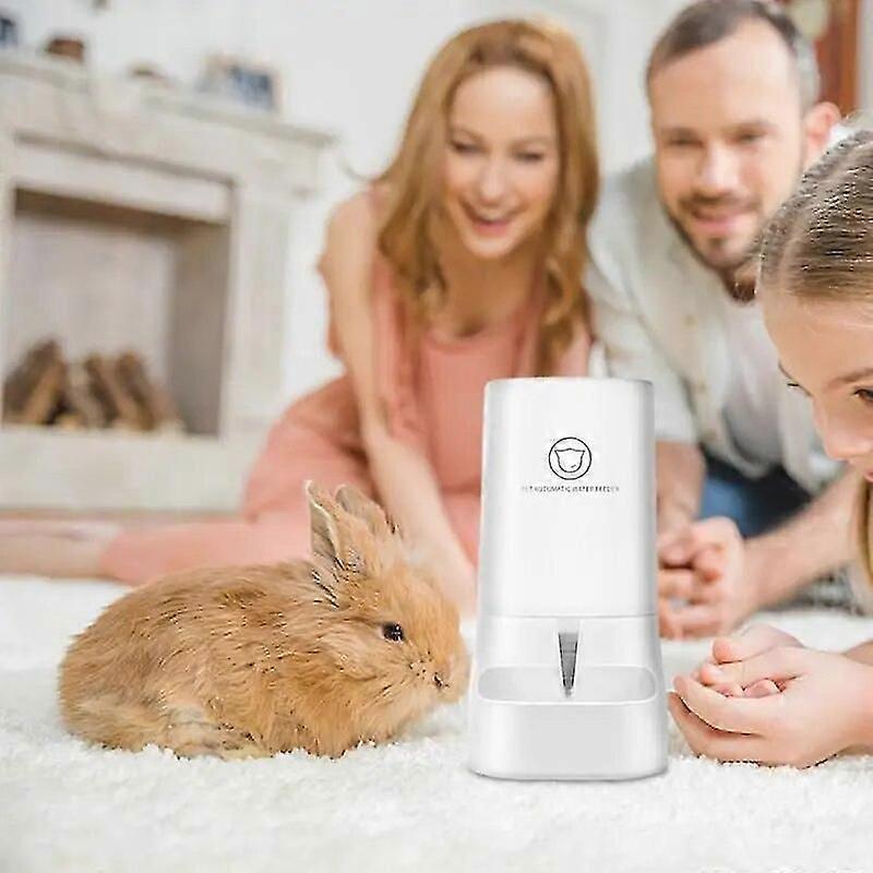 Cat Automatic Feeders Opaque Gravity Feeding System Food Feeder Water Dispenser Safe Using Dog Automatic Feeders Cat Water