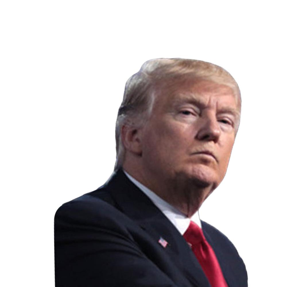 U.S. Presidential Election Car Window Stickers (left and Right Styles) Easy Peel Off Decor Decals Water and Weather Resistant