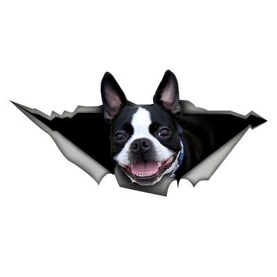 Boston Terrier Car Stickers, Weather-Resistant Vinyl Stickers for Windows, Bumper Crafts - PVC Material Vehicle Decals