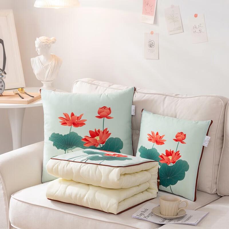 

Yalu Skin-Friendly Velvet Printed Pillow Quilt