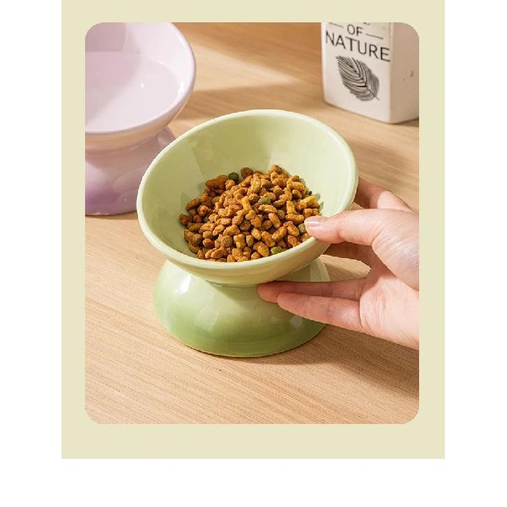 Rainbow Gradient Pet Bowl Ceramic Food Bowl Slanted Mouth Feeders for Cats