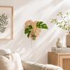 Home Ornaments Hydroponic Planter Shelf Wooden Flower Pot Minimalist Wall Decoration Home Decor