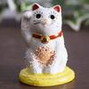 Kutani Beckoning Gold Coin and White Relief Ware, Right-handed Cat, Design, N-007F