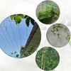 Flexible Rope Garden Trellis Netting High-quality Nylon Multifunction Plant Support Netting Climbing Plants Netting Vegetables