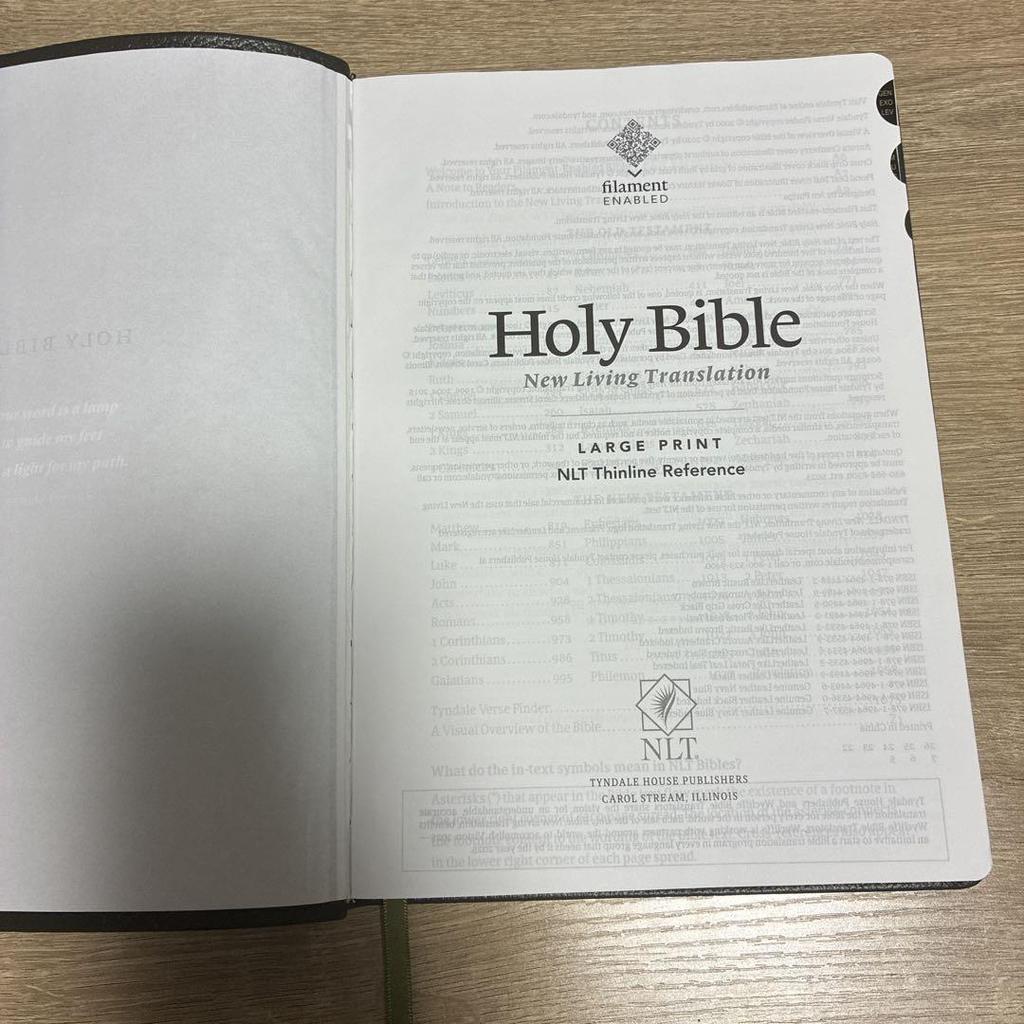 [USED] New Living Translation bible large print