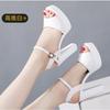 2025 summer thick heel sandals comfortable temperament open-toed sandals waterproof table high heel one-word buckle sandals women