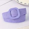 Women Straw Belt Smooth Buckle Adjustable Wide Band Solid Color Anti-break Washable Elastic Shirt Dress Slim Wiast Strap
