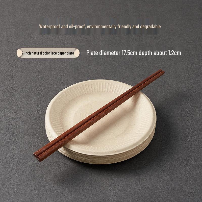 Qiwei Disposable Picnic Tableware Set