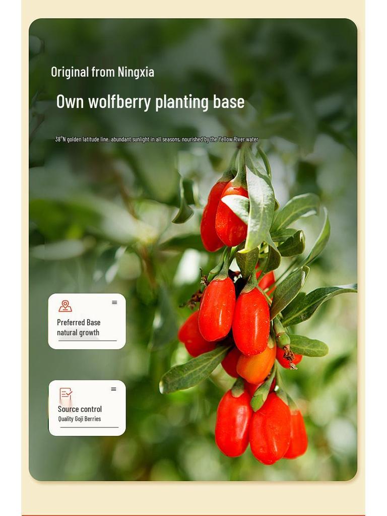 Qi Xiao Yang Ginseng & Goji Berry Drink - 30ml Original Ningxia & Changbai Mountain Blend