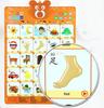 Early Childhood Education For Children Learning Pinyin Understanding Chinese Characters Crystal Sound Wall Charts Toys