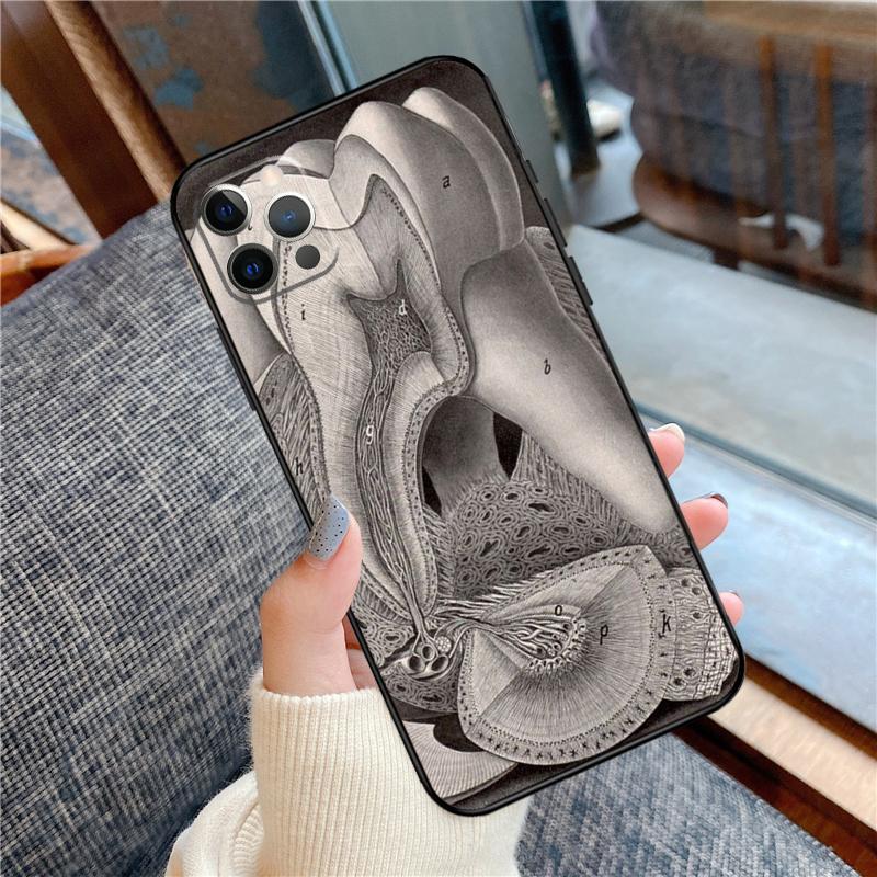 Human Tooth Anatomy Phone Case For iPhone 16 15 14 12 11 13 Pro Max 12 13 Mini XR 15 16 Plus 16e Cover Shell