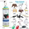 Children's Cognitive Toys: Frog Tadpole Growth Cycle Models