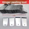 Household Kitchen Ginger Scraper