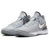 New Nike Zoom LeBron NXXT Gen EP Wolf Grey DR8788-004