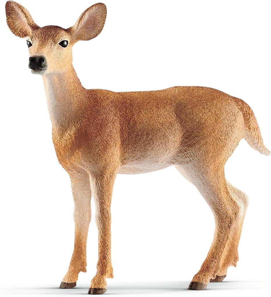Schleich Wildlife Deer Ages Realistic Animal Toy 14819 White-tailed (Female) Figurine, 3+,