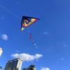 Good Flying Children's Kite 1.22m Outdoor Flying Toy New Large Beach Delta Kites  Fun Sports