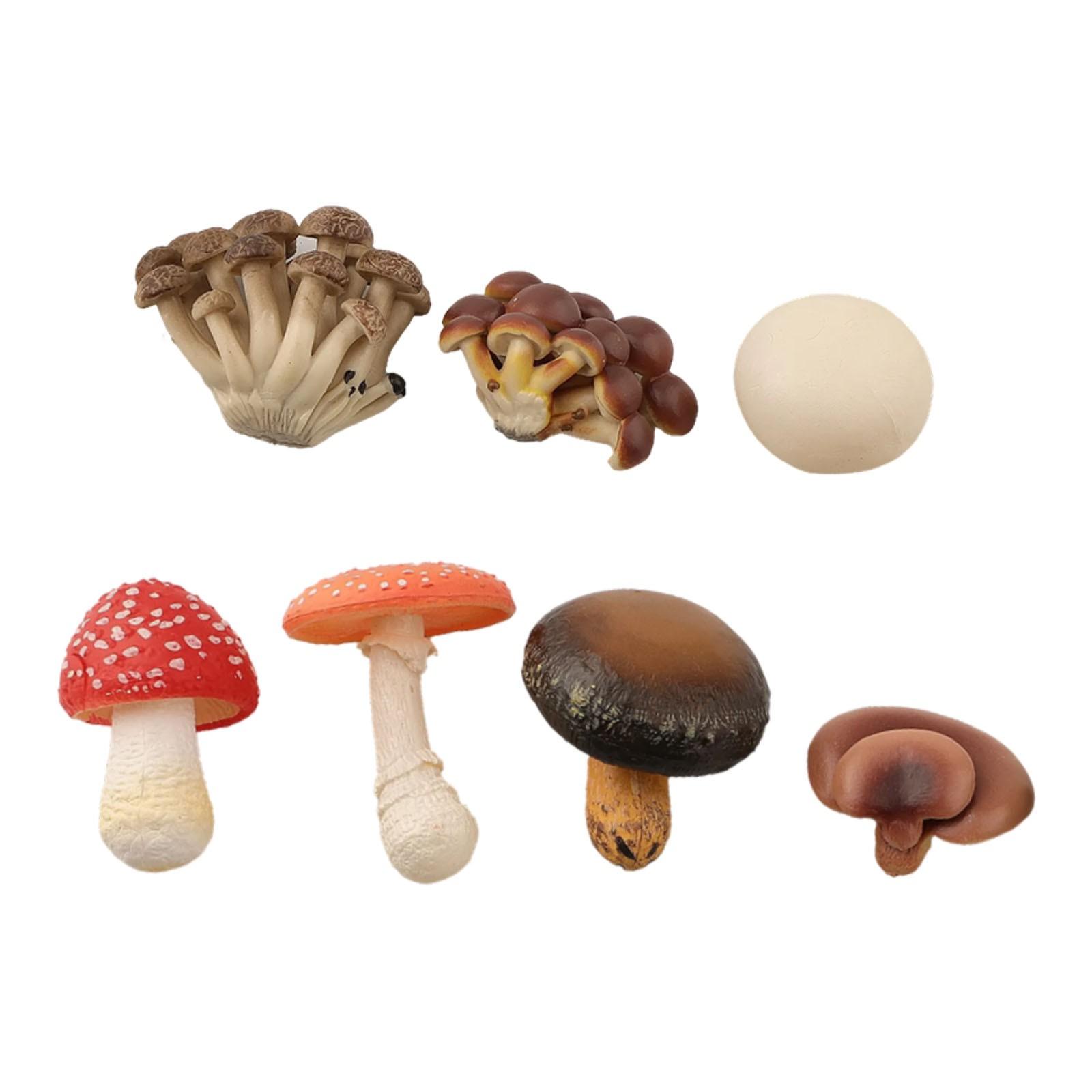 

Характеристики Украшение Уникальная Идея Легко Поддерживать