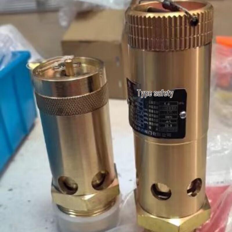 Xunmi Vibration-Resistant Screw Air Compressor Safety Valve
