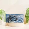 2D Flat, Decorative Signs& Plaques- 2D Flat, for Decorative Use Only Design: Car License Plate Cover and Frame Featuring a Snow Leopard in a Snowy Mou