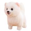 Brown Pomeranian Plush Toy - Standing Dog Photography Prop & Soothing Doll for Kids