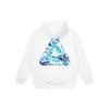 Palace Tri Digi Hood P22HD082