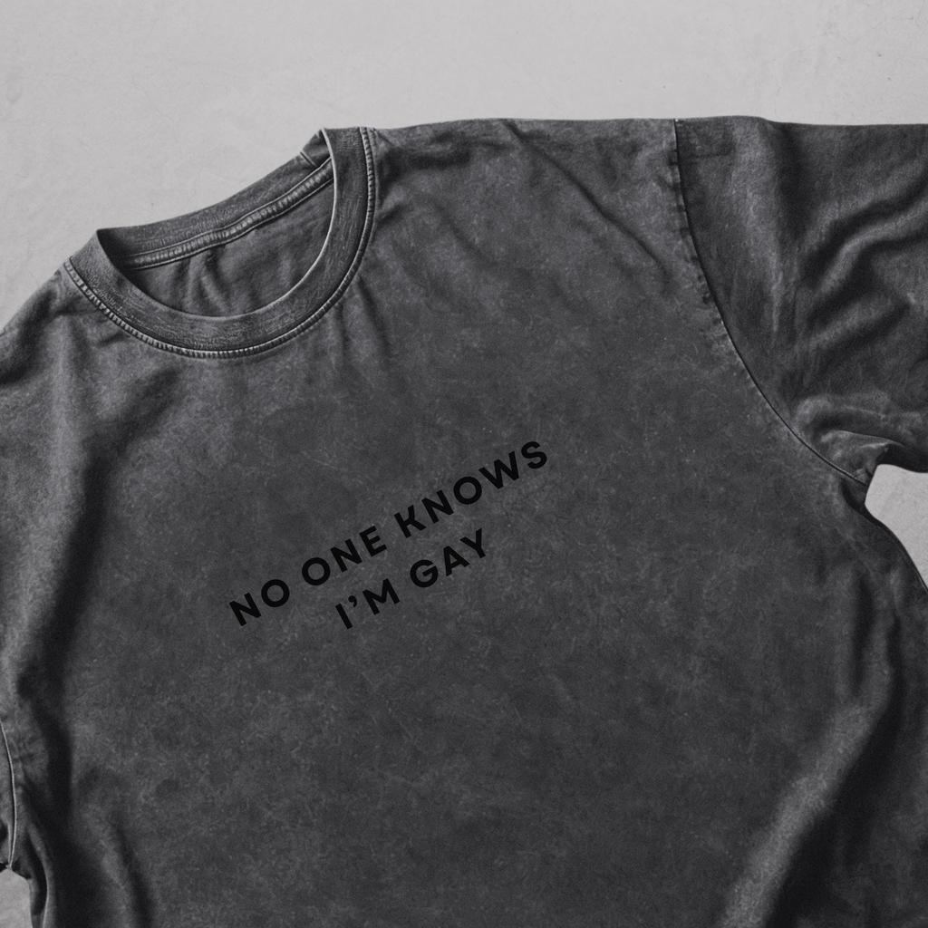 No one knows I'm Gay Shirt, Subtle Pride Tshirt, Minimalist LGBTQ Pride Shirt, Funny Gay Shirt, Lesbian Tee, Ironic Shirts