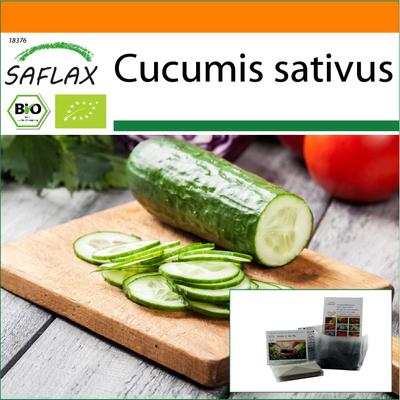 Giardino in borsa - Biologico - Cetriolo - Marketmore - 20 semi - Con substrato in un sacchetto stand up adatto - Cucumis sativus