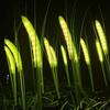2026 New Solar LED Light Outdoor Street Garden Light Waterproof  Dog Tail Grass Fiber Optic Ground Plug Light for Country House Christmas Decorations