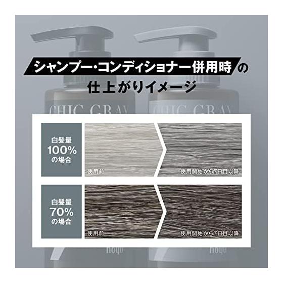 [Set Product] Men's Bigen CHIC GRAY Shampoo/Conditioner [Hair Care for Gray Hair/For Clean Gray Hair] Chic Gray Shampoo 300ml + Conditioner 300g