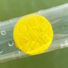 End Caps Plastic Float Storage Tube Float Packing Tube Bobber Tube Fishing Float Tube 40/50/60cm