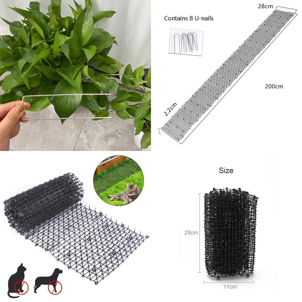 Proteggi i tuoi vasi e i tuoi fiori con il nostro tappetino antiscivolo per gatti e cani, sicuro per gli animali domestici, con punte in plastica sicure