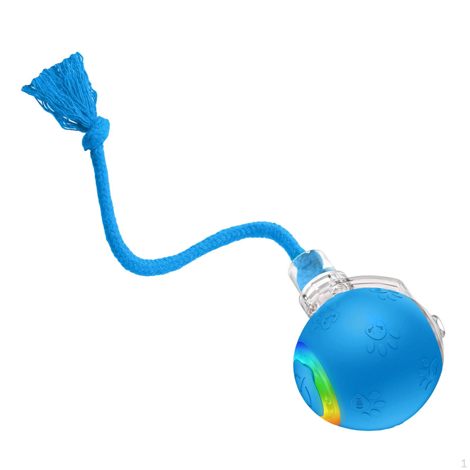 

Engaging Cat Play Ball, Fast Moving Rechargeable Toy for Indoor Use синій