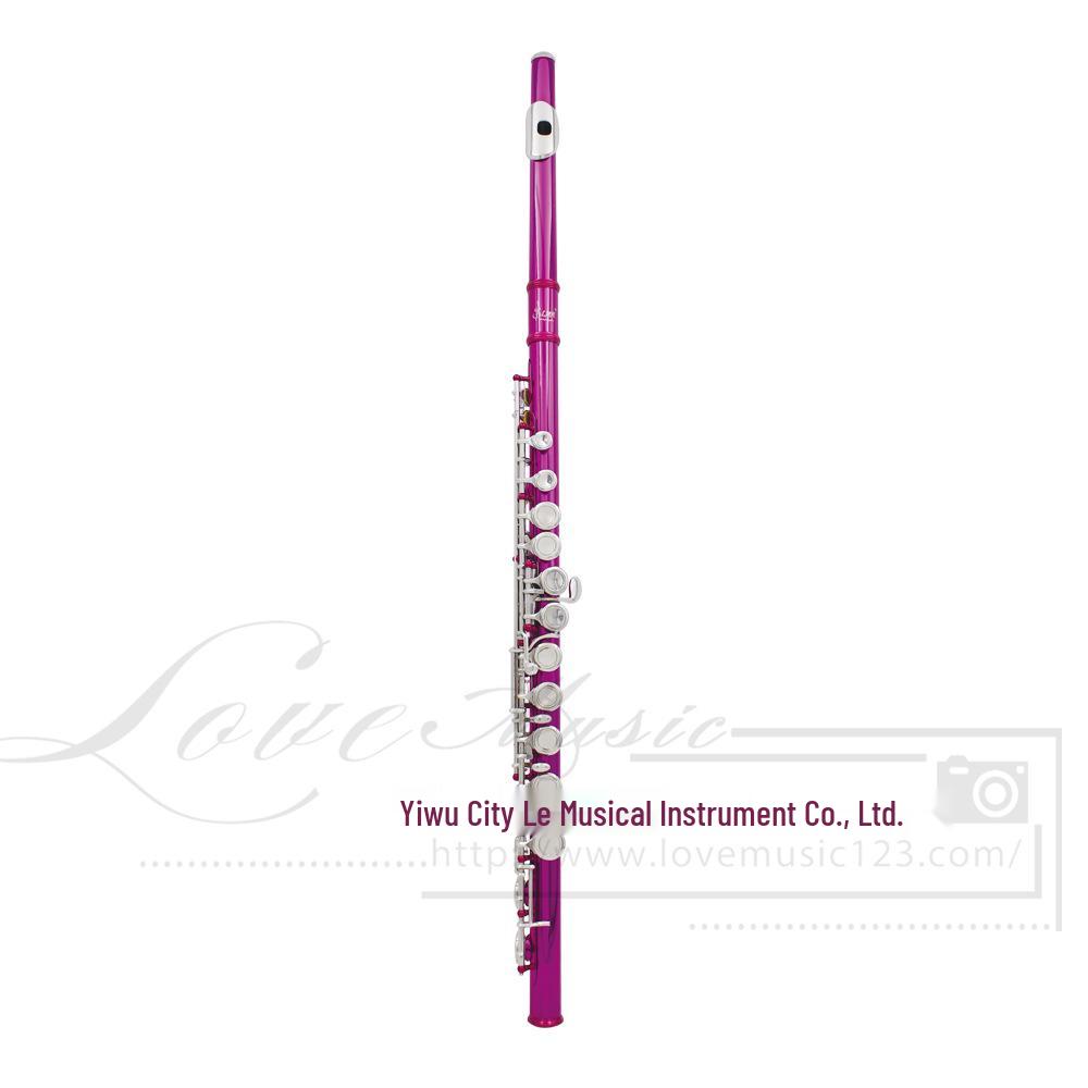 LADE 16-Hole C Key Colored Flute for Children, Students, & Adults - Professional Western Musical Instrument.