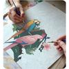 Paint By Numbers Massido Parrots