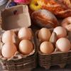 10Pcs Space Saving Paper Pulp Egg Cartons 4 Grids Empty Egg Storage Box Chicken Eggs Tray  for Home