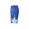 Casual Shorts Men's Blue CJ1067-495