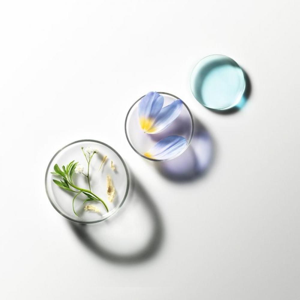 Rene Furterer Triphasic Sos Ampoule  5ml 12ea  + Random Shampoo 200ml