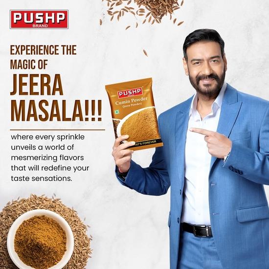 Pushp Brand Cumin/Jeera Powder Pouch (100g Pack) (Pack of 10)