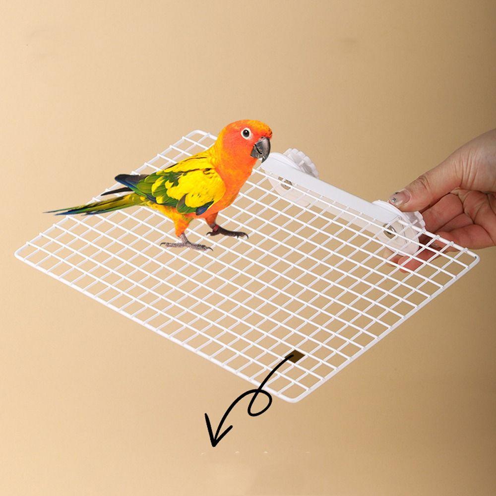 Steel Parrot Metal Mesh Platform Wear Resistant Parrot Perches Stand  for Bird Cage