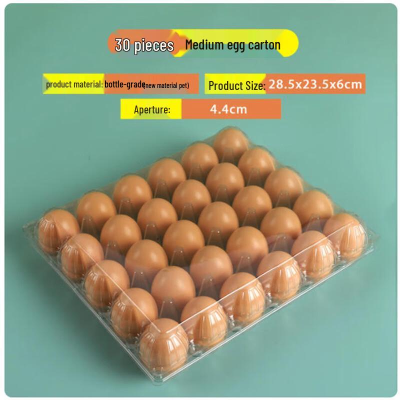 Disposable Clear Egg Cartons