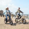 ENGWE L20 3.0 Pro Electric Bicycle 250W Motor 48V15AH Lithium Battery Hydraulic Disc Brake Electric Bike 20*3 inch Tires