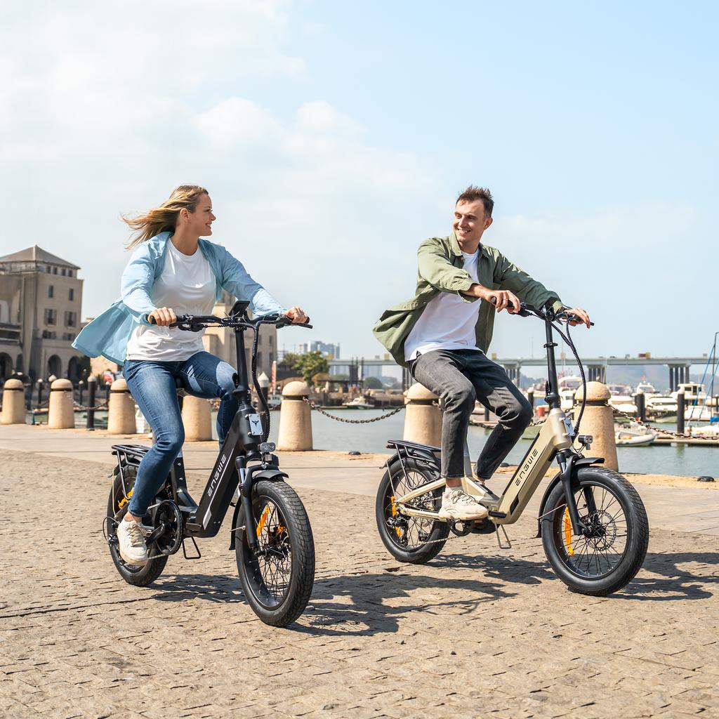 ENGWE L20 3.0 Pro Electric Bicycle 250W Motor 48V15AH Lithium Battery Hydraulic Disc Brake Electric Bike 20*3 inch Tires