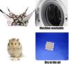 Hamster Hammock Small Pet Hanging Bed Double Warm Thickened Honeybug Flying Squirrel Guinea Pig Hammock Pet Cage Accessories