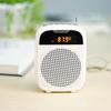 Nuowei S328 Tragbarer Bluetooth-Sprachverstärker (CN-Version)
