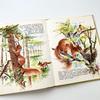 [USED] Maurice Boulanger's Children's Book, Vintage