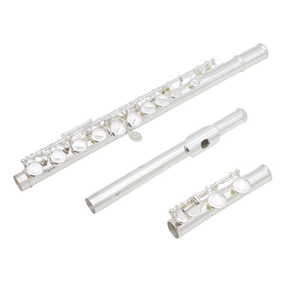 LADE 16-Hole C Key Colored Flute for Children, Students, & Adults - Professional Western Musical Instrument.